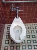 Urinal